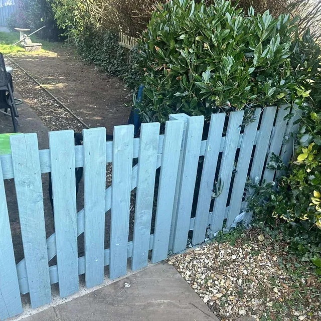fence and gate painting
